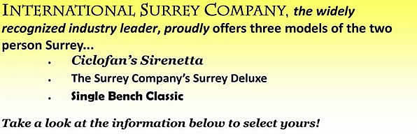 Surrey bike bicycle four (4) wheeled bike bicycle three (3) person bike bicycle quadricycle quadracycle
