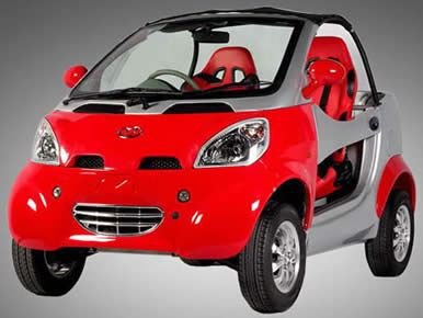 Electric Car, Low Speed Vehicle, Neighborhood Electric Vehicle
