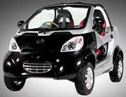 Electric Car, Low Speed Vehicle, Neighborhood Electric Vehicle
