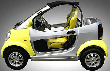 Electric Car, Low Speed Vehicle, Neighborhood Electric Vehicle